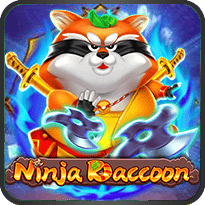 Ninja raccoon
