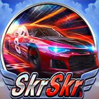SkrSkr