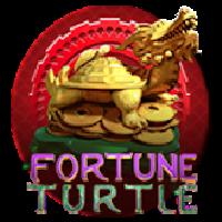 Fortune Turtle