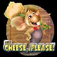 More Cheese Please