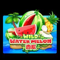 Wild Watermelon