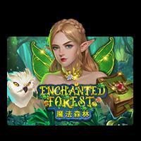 Enchanted Forest