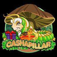 Cashapillar