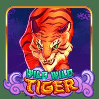 Year Of The Wild Wild Tiger